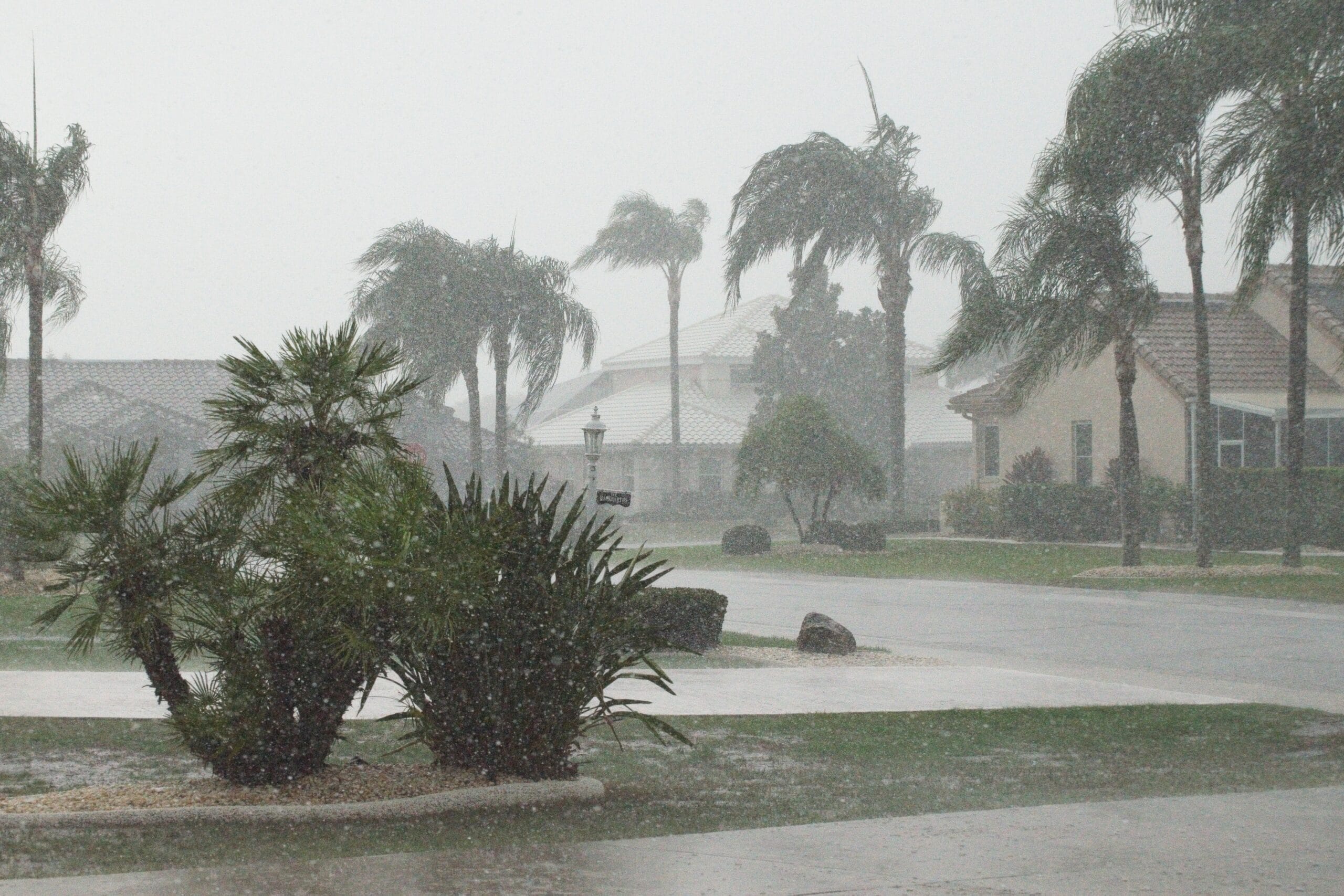 Why More Floridians Are Turning to Hurricane-Resistant Lawns